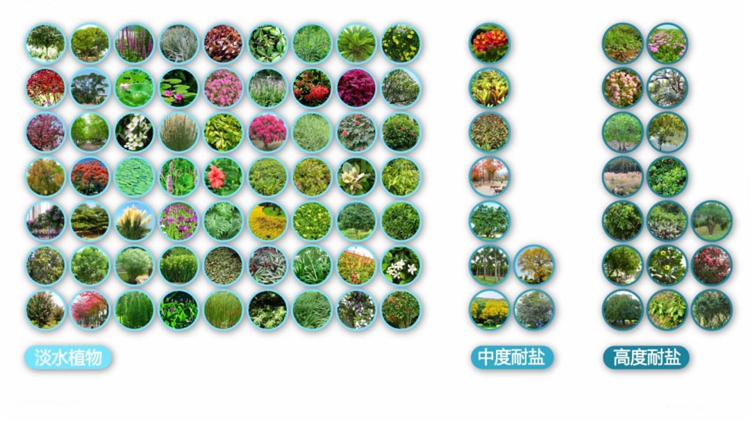 Landscape Architecture Video 3D Flythrough rendering, Field Operations, Qianhai Waterfront Park 前海水城绿岸, 深圳 城市 建筑 视频 shenzhen china Playhou.se playhouse animation