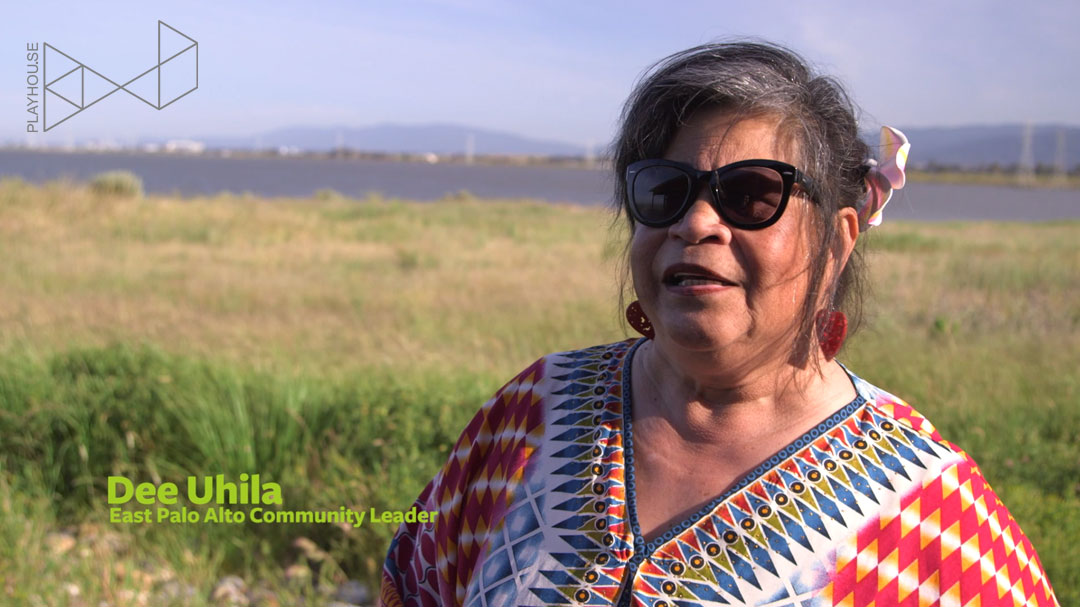 urban planning video Playhou.se James Corner Field Operations South Bay Sponge San Francisco Bay Resilient By Design sustainability resiliciency global warming multimedia 3D axonometric animation infrastructure visual storytelling 4k interviews landscape architecture visual communications film architecture  archviz conceptual